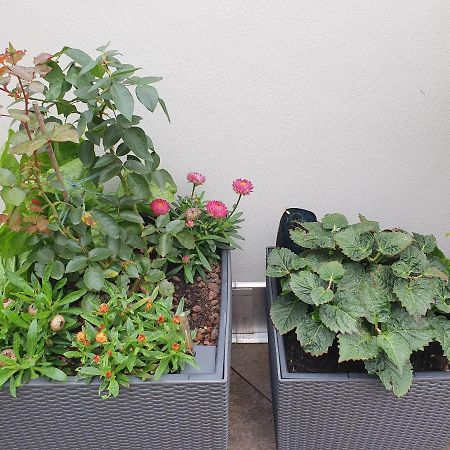 Luxusappartement Mitten In Leipzig Neueroeffnung ! מראה חיצוני תמונה